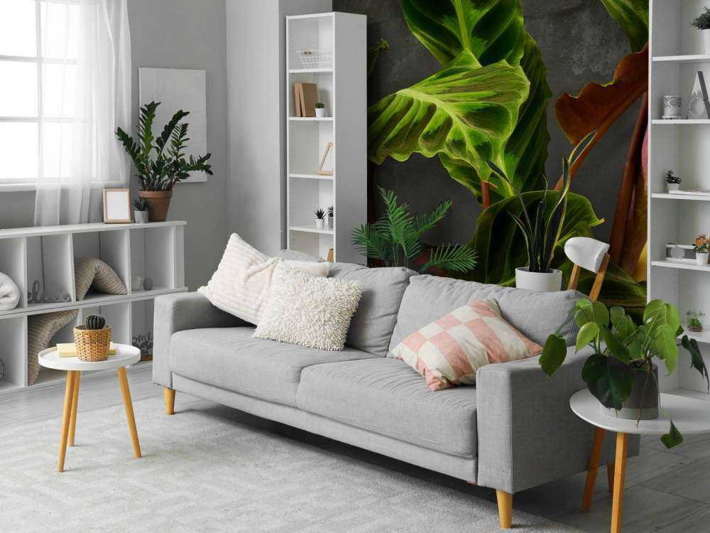 Plant with beautiful green leaves