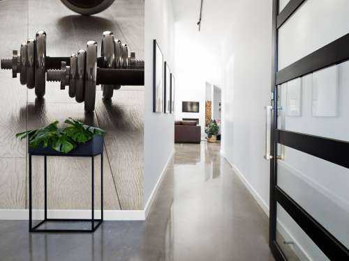 Dumbells and weights