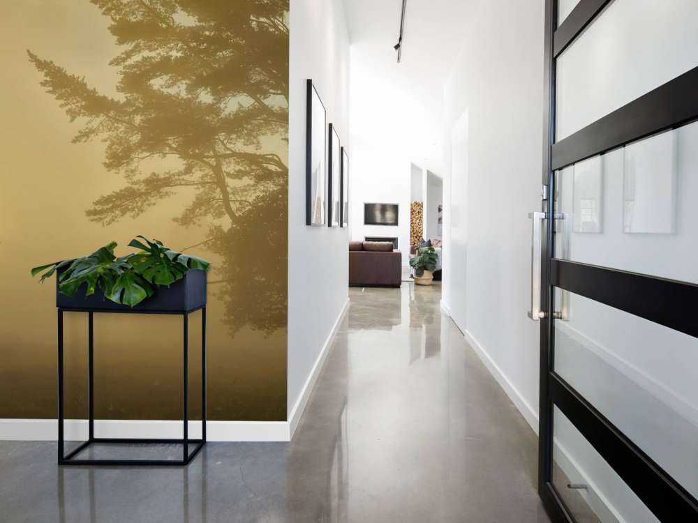 Zonsopkomst in de mist