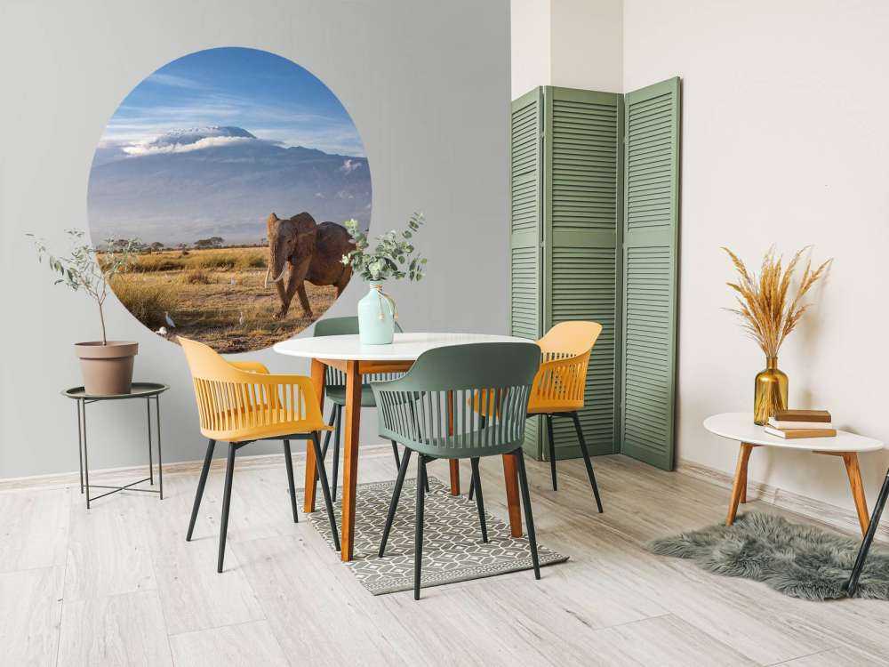 Afrikaanse olifant in een grasland