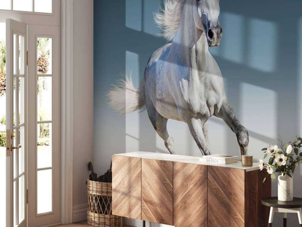 Galloping horse
