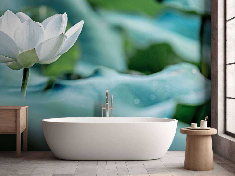 White lotus flower