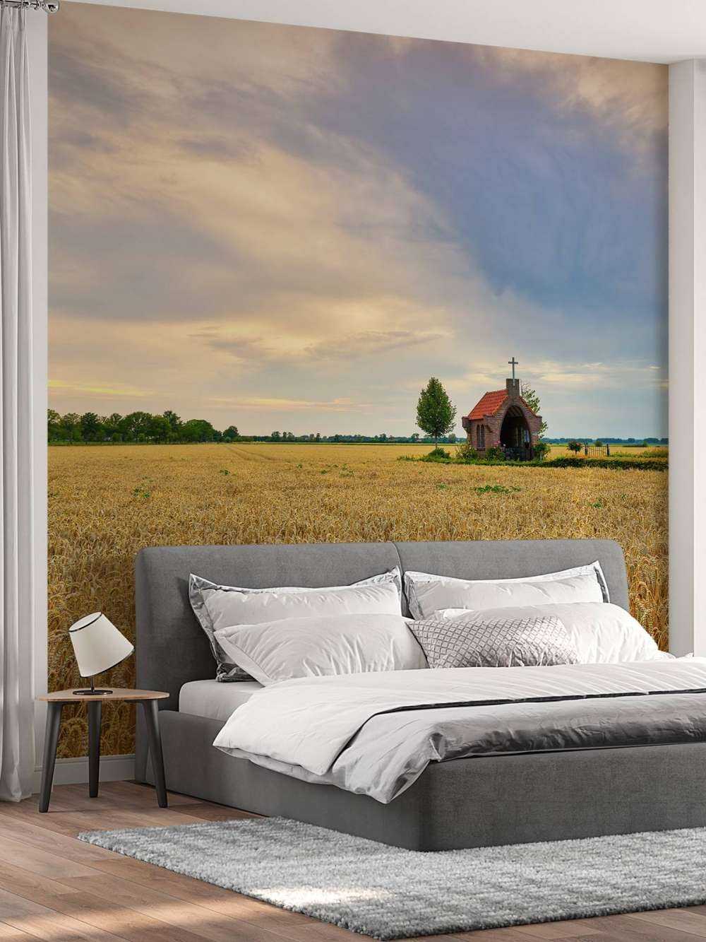 Grain field
