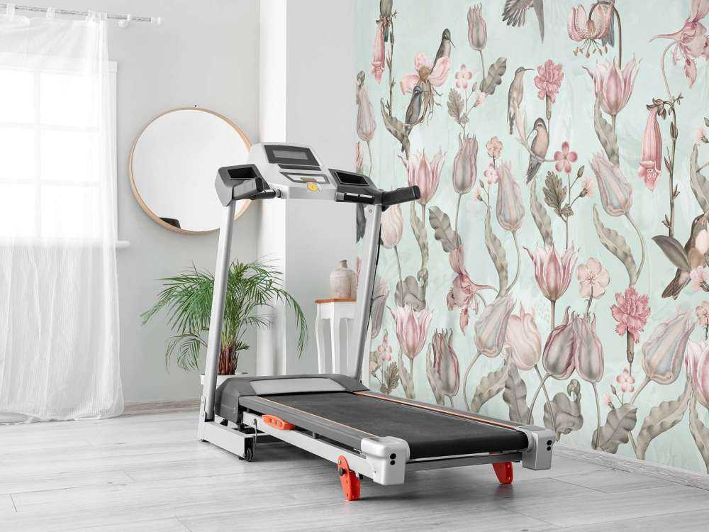 Spring Hummingbird Symphony - Mint Meadow