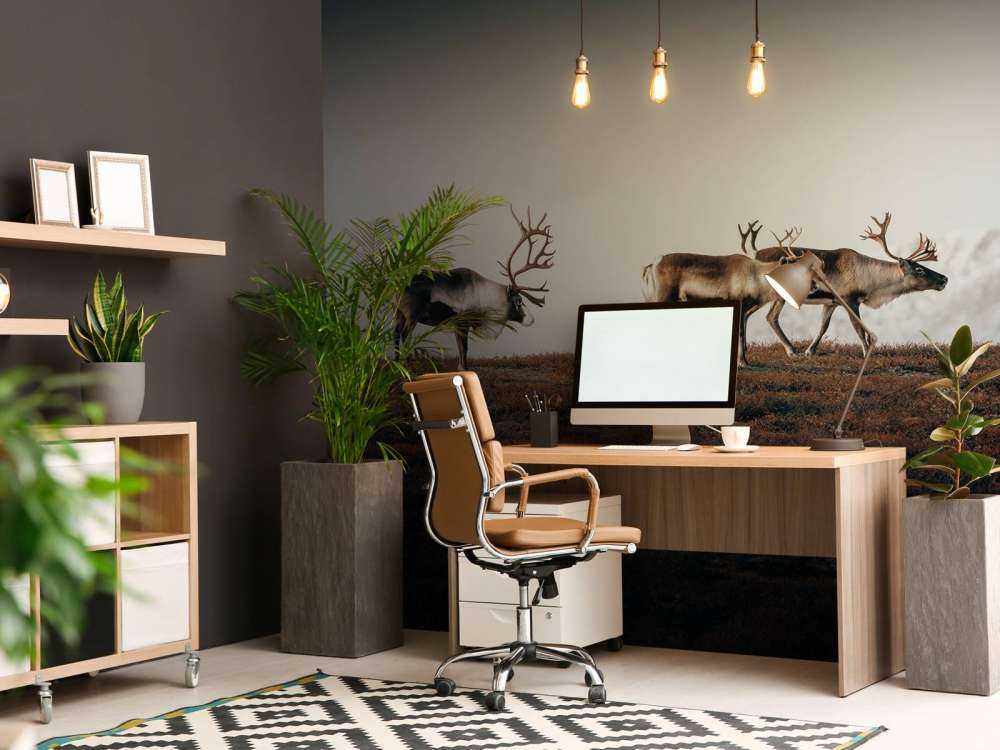 Group of reindeer in northern Europe