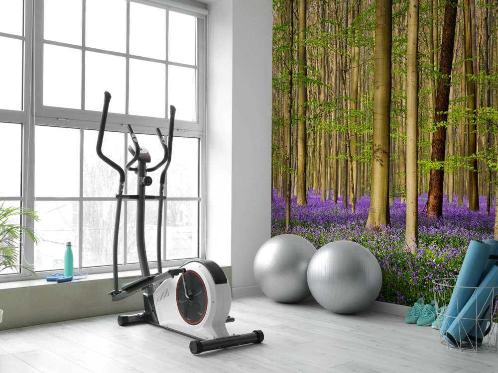 Forest with woodland hyacinths