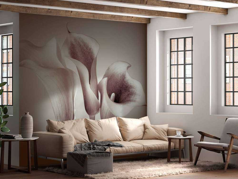 Calla Lys