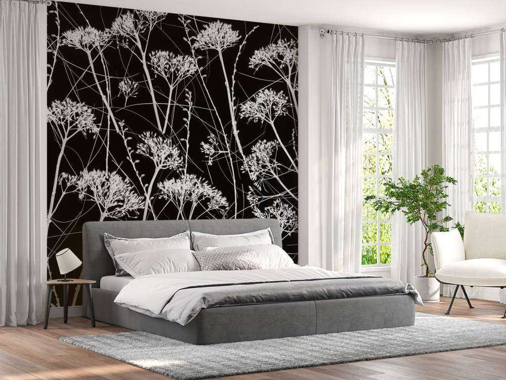 Silhouette of dried plants