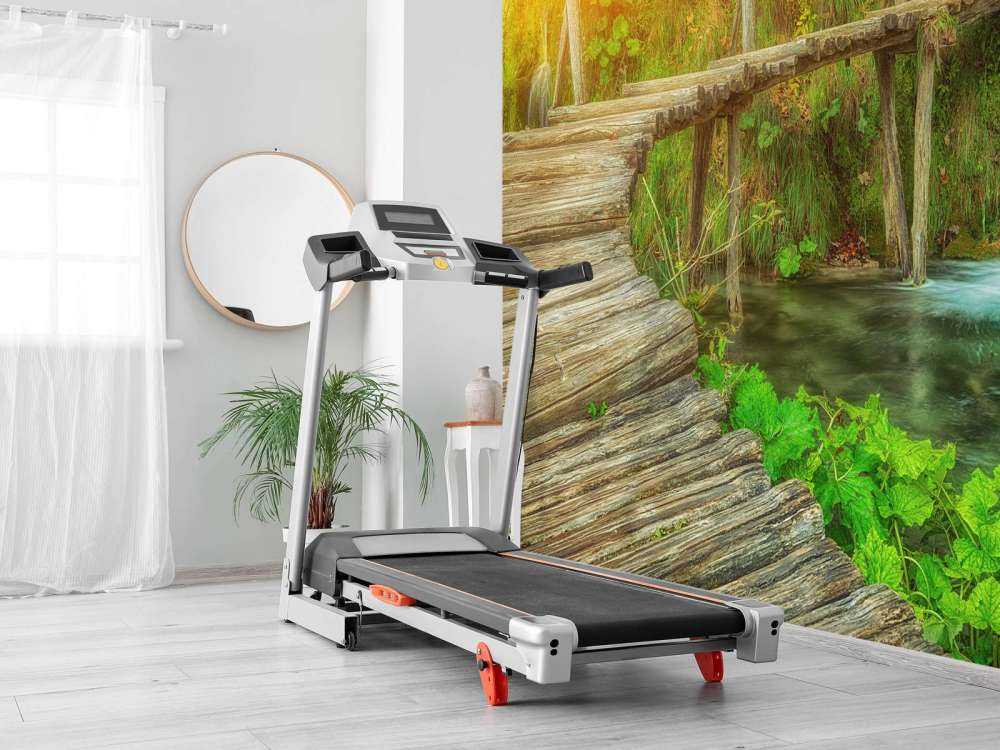 Wooden bridge with sunlight