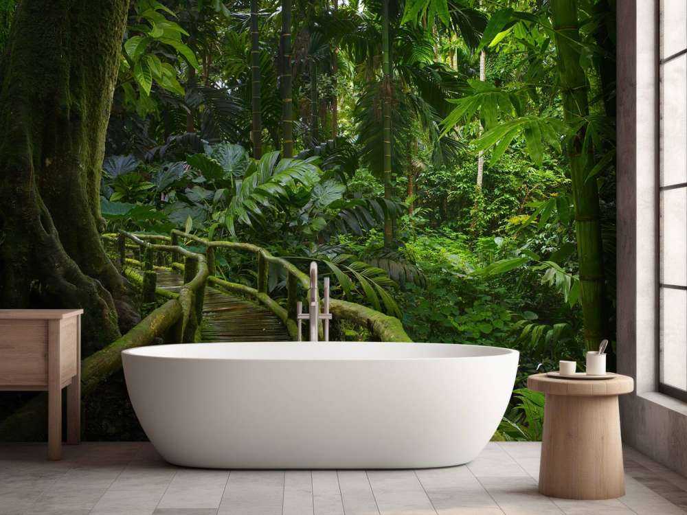 Narrow jungle bridge