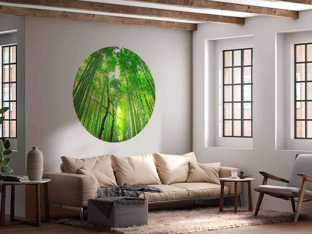 Bamboo forest of Arashiyama