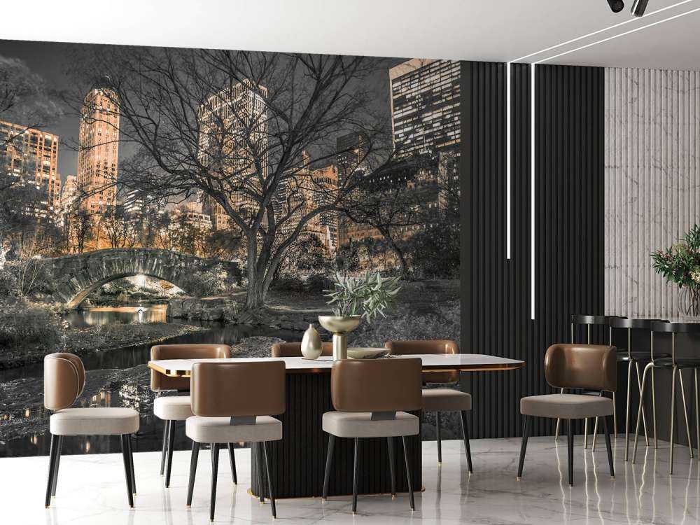 Central park in the evening