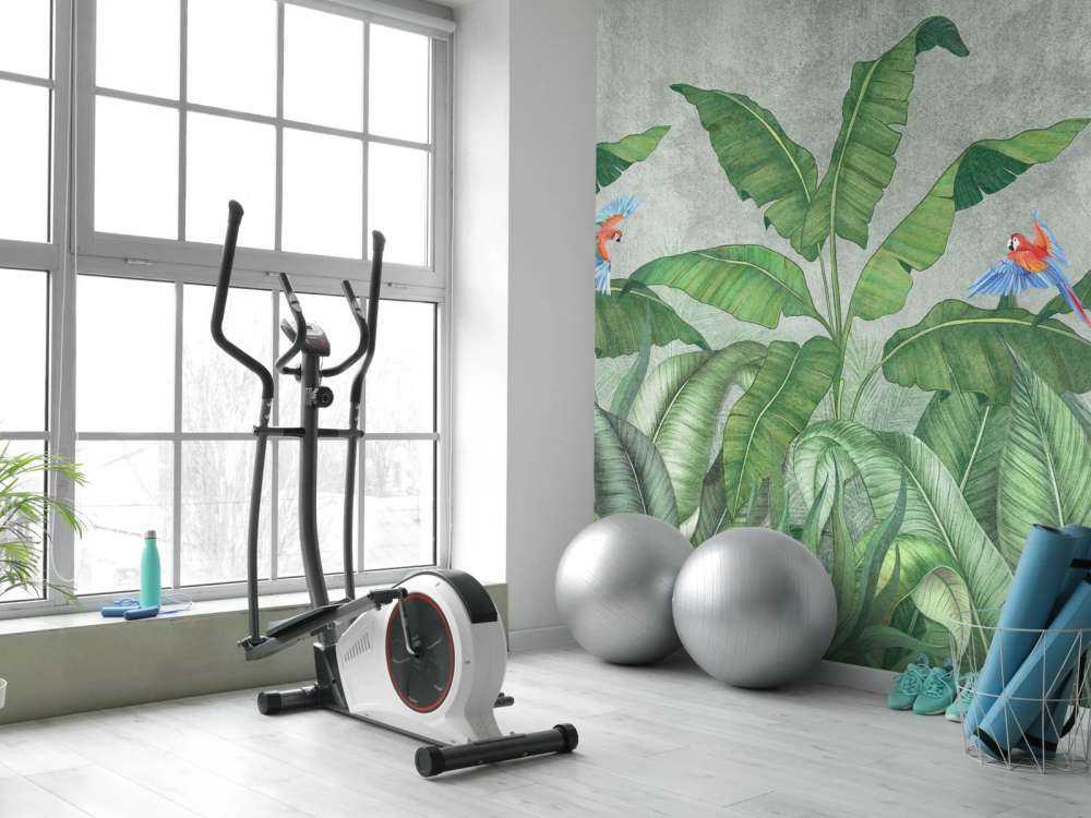 Tropical leaves on concrete