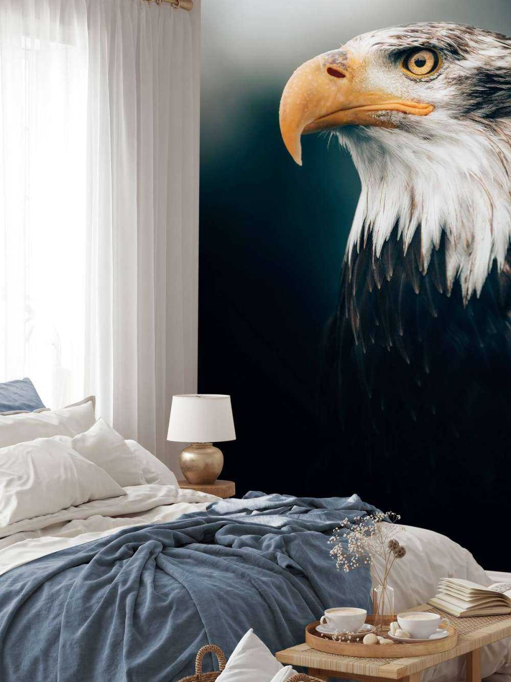 Close-up sea eagle