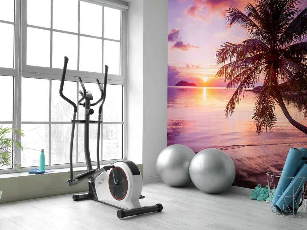 Palm tree at a sunset