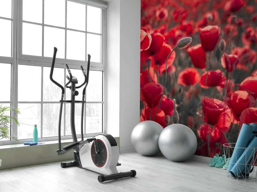 Poppies in dark style