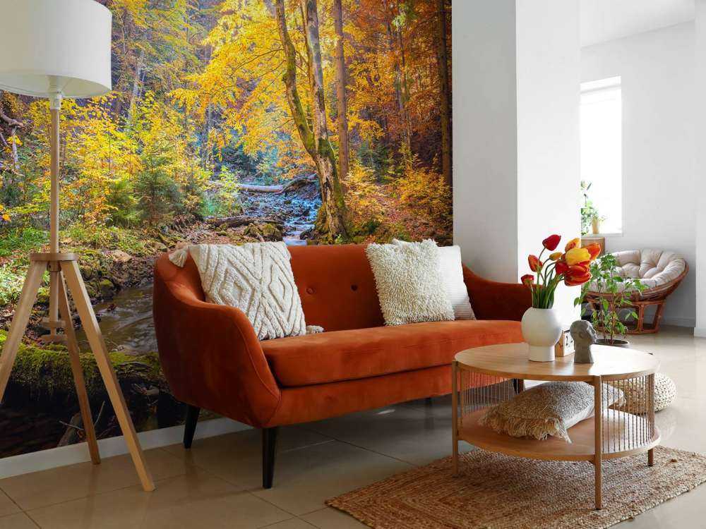 Autumn in wild forest