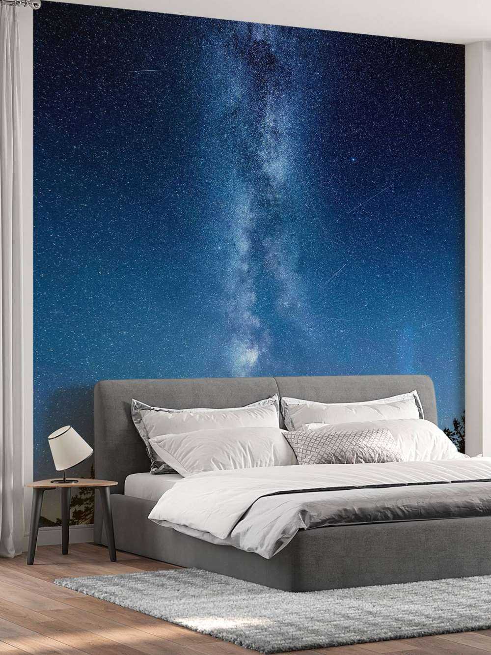 Photo of the Milky Way