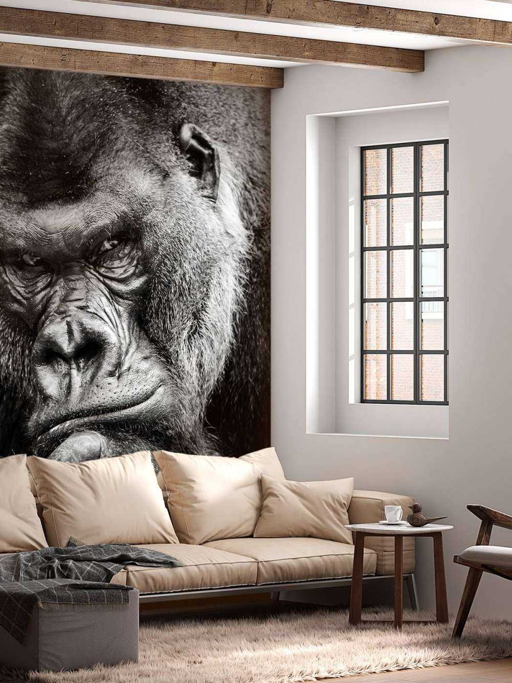 Close-up picture of a gorilla