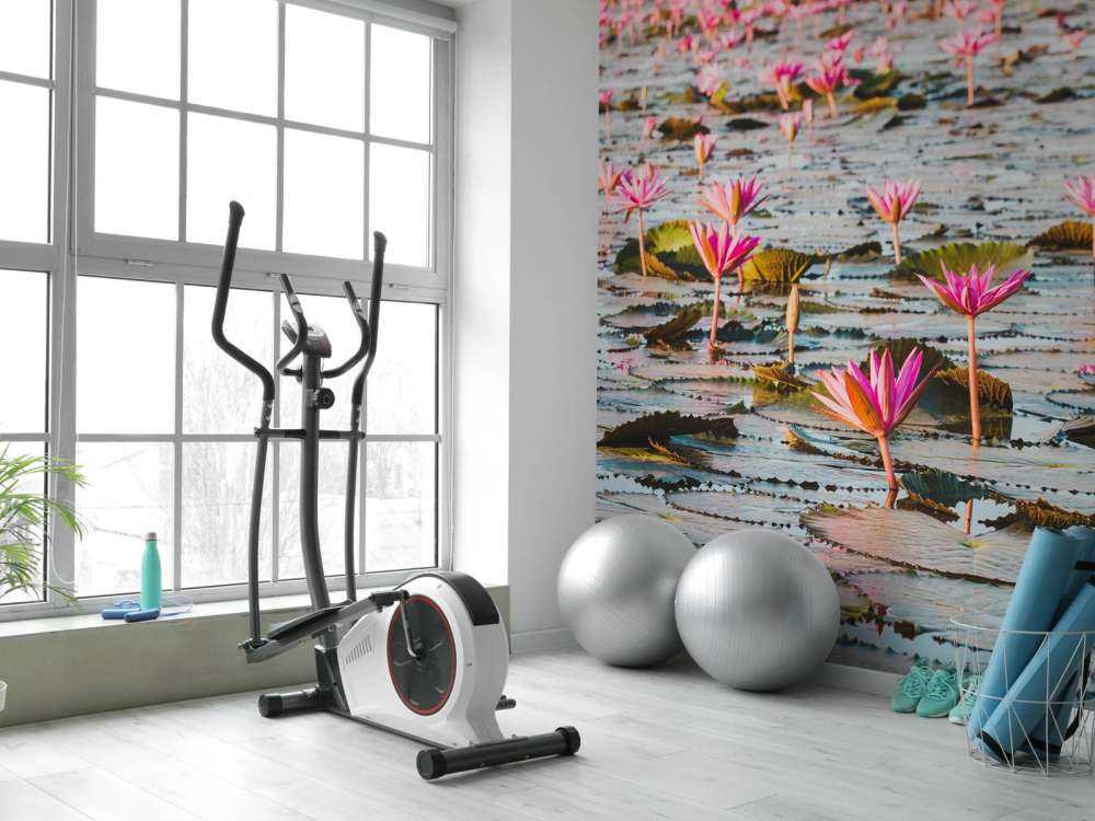 Sea of lotus flowers