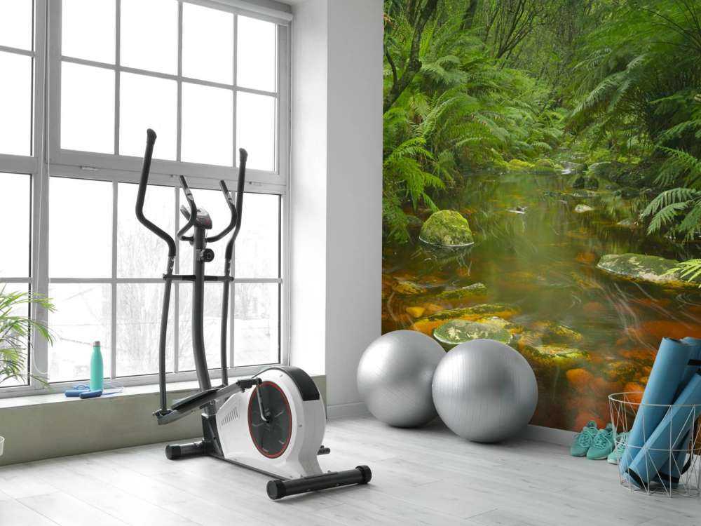 River in the rainforest