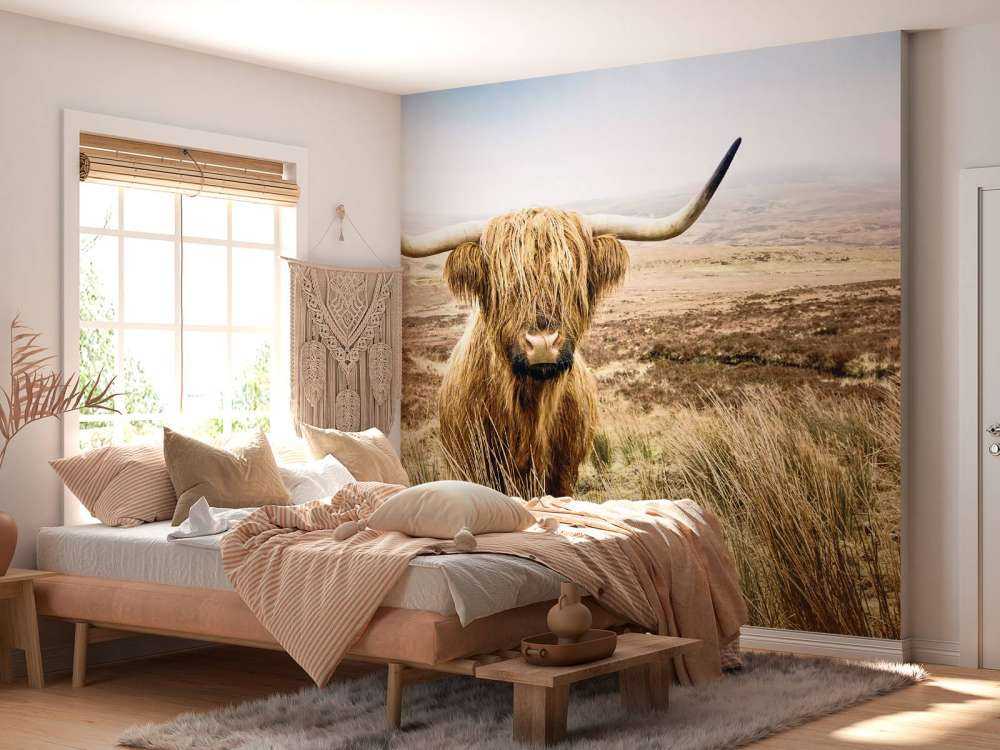 Scottish Highlander with reed