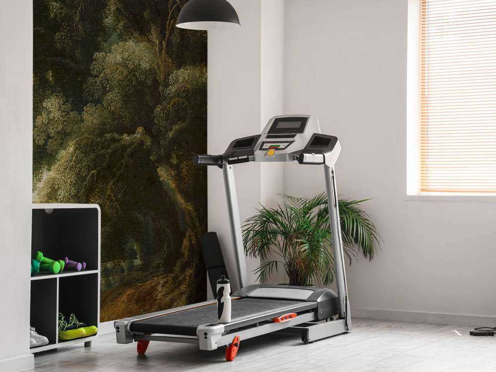 Imagined forest landscape