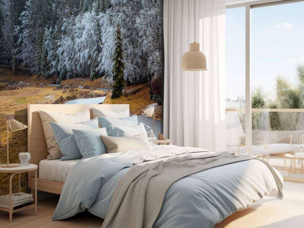 The road and the frozen trees