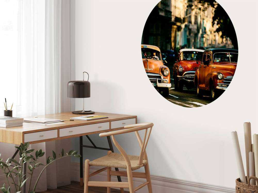 Come with me in the morning light