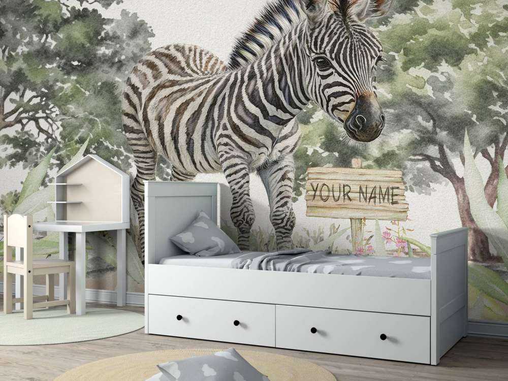 Young zebra in the wild