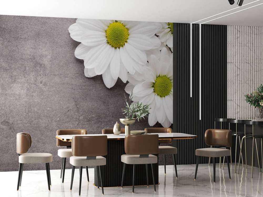 Daisies and concrete