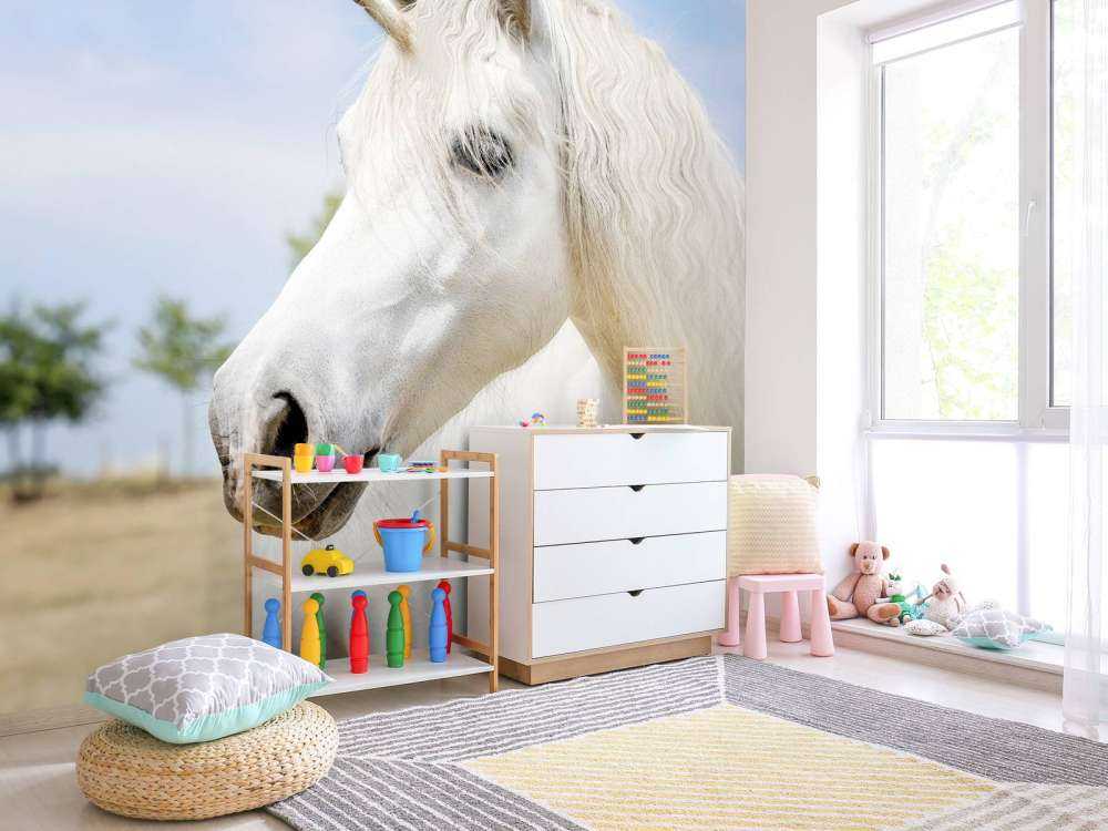 White unicorn