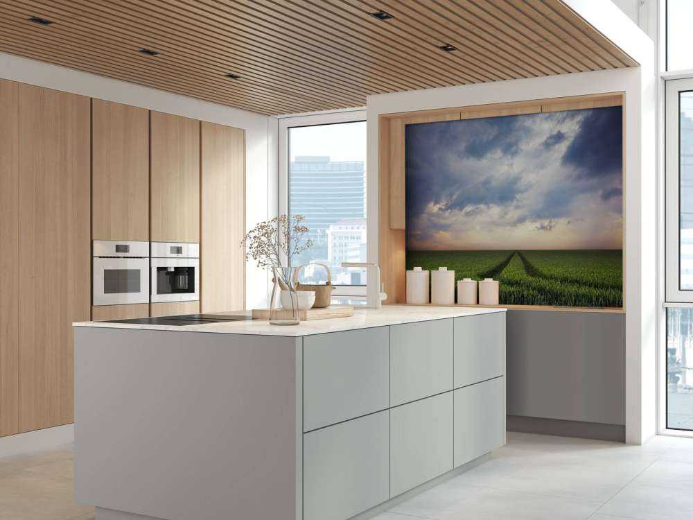 Tracks in wheat field