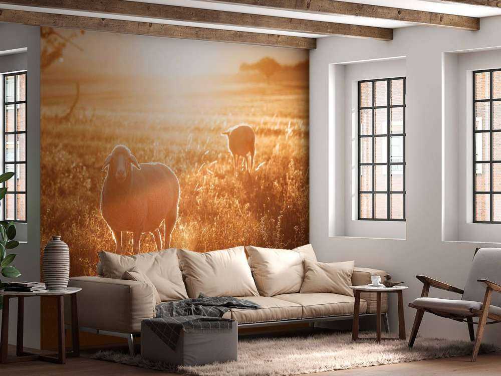 Sheep in beautiful pasture