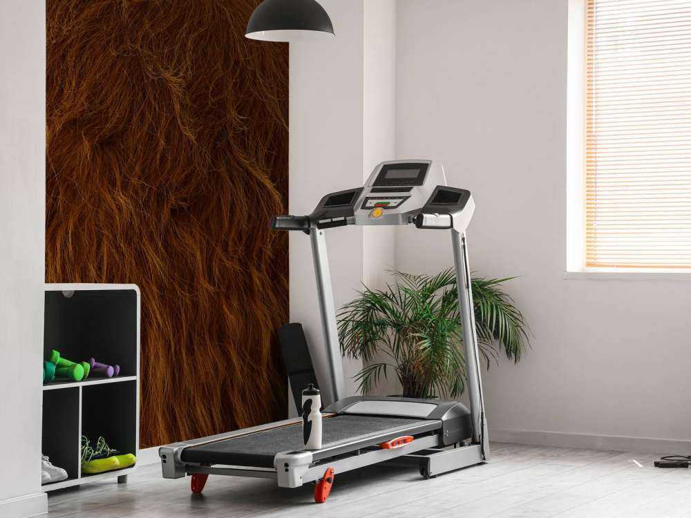 Scottish Highlander coat