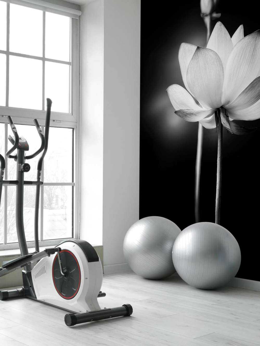 Lotus flowers black and white