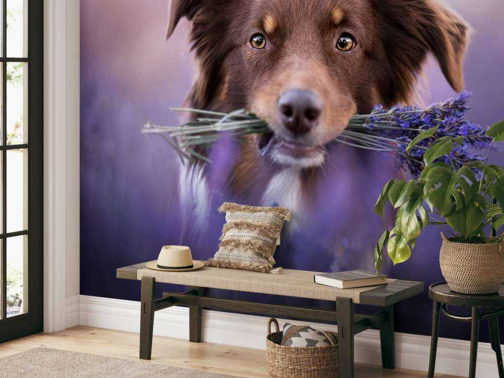 Dog with lavender