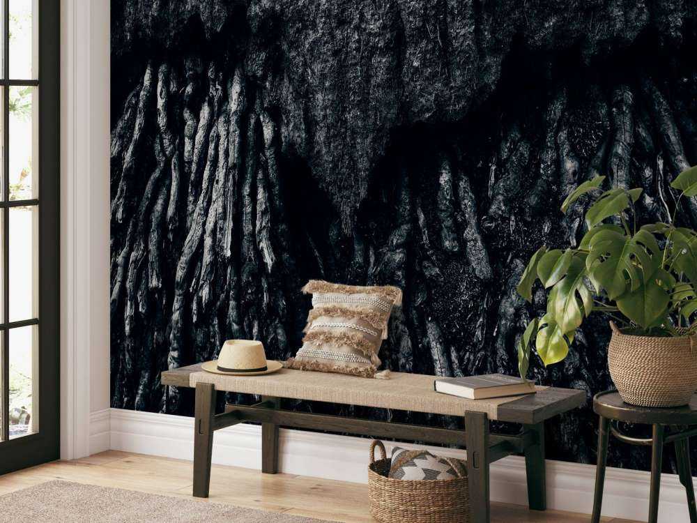 Tree, black and white