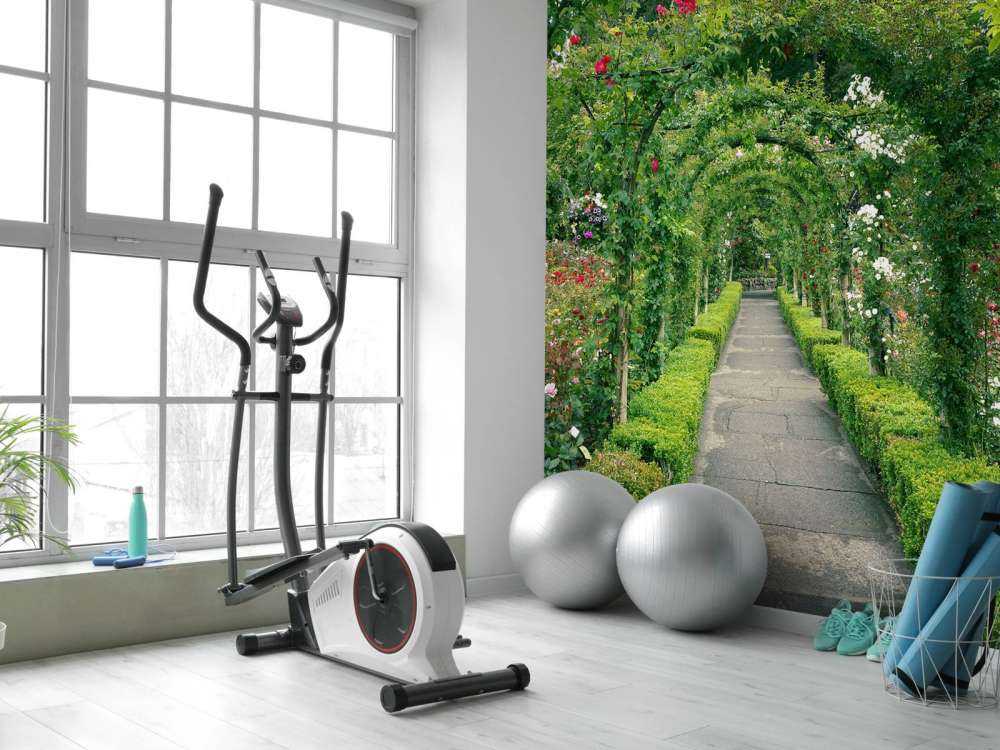 Path through rose garden