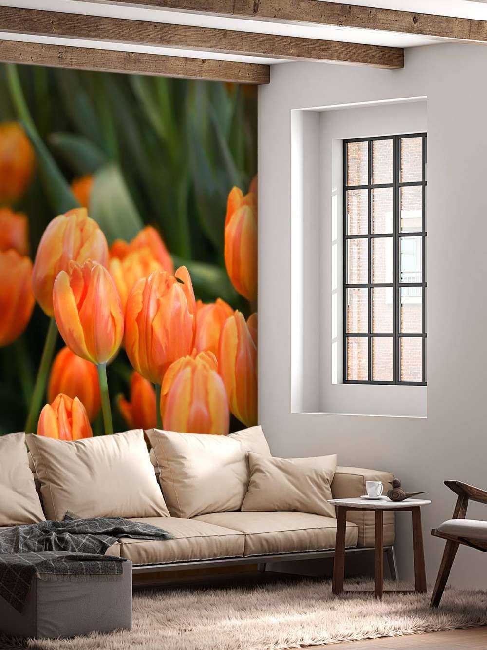 Orange Tulips