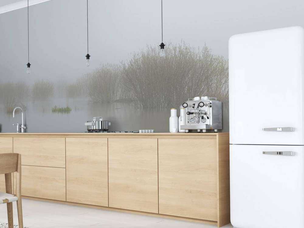 Fog in nature reserve