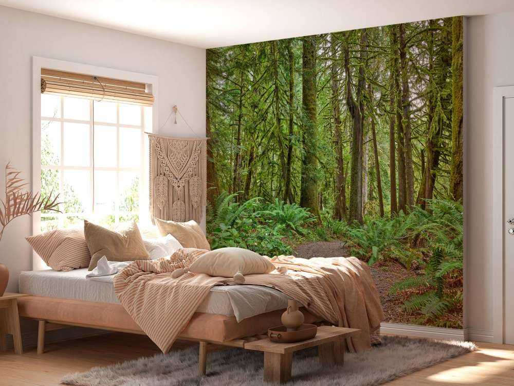 Path with stones through the forest 