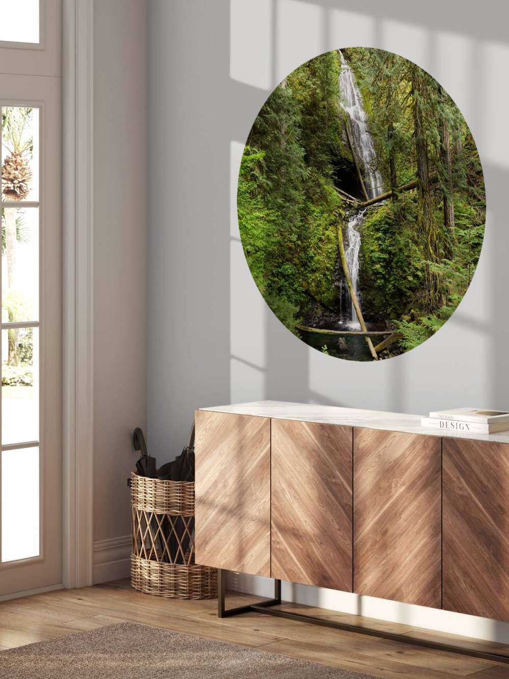 Waterfall with fallen trees