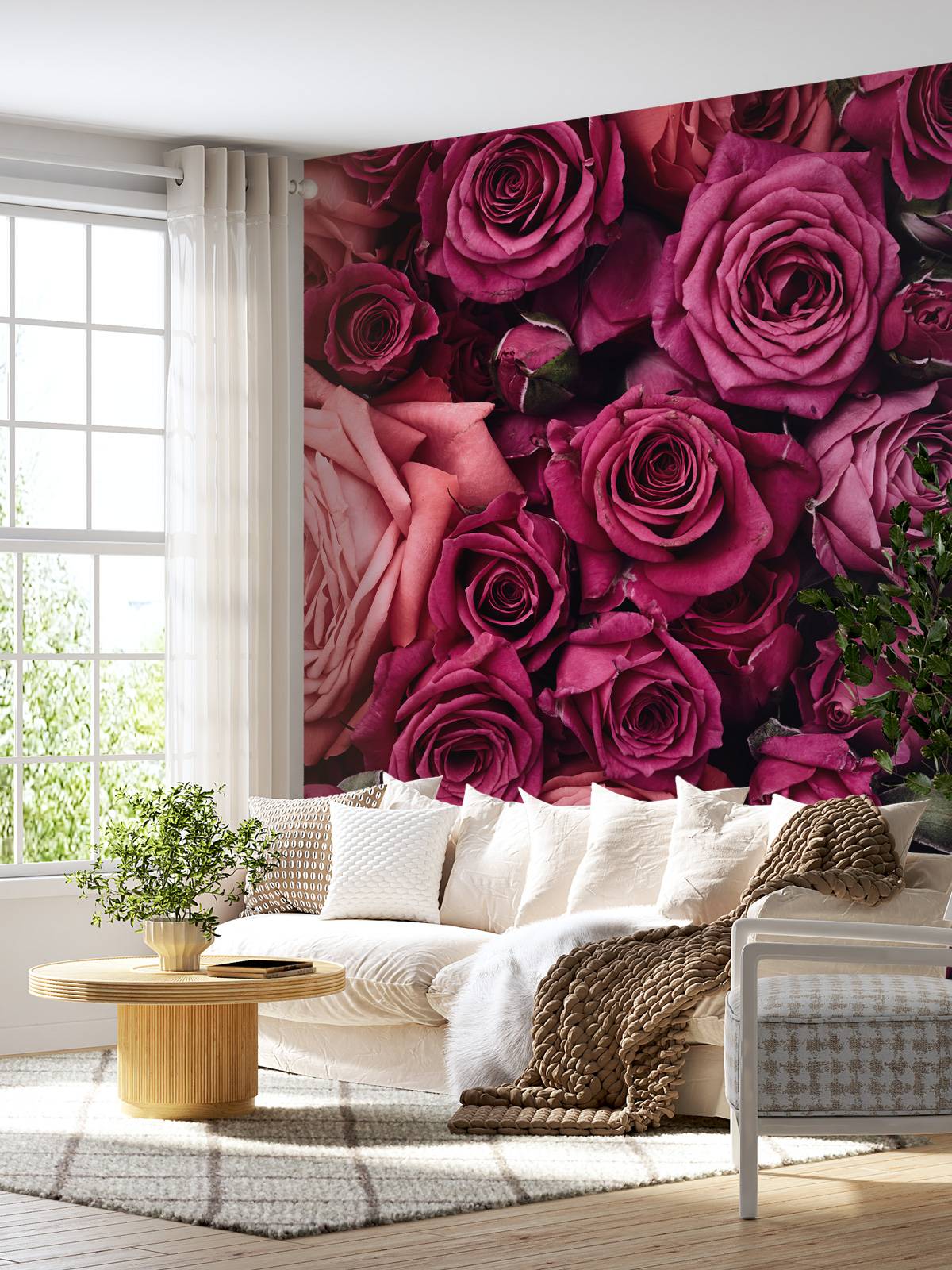 Pink roses