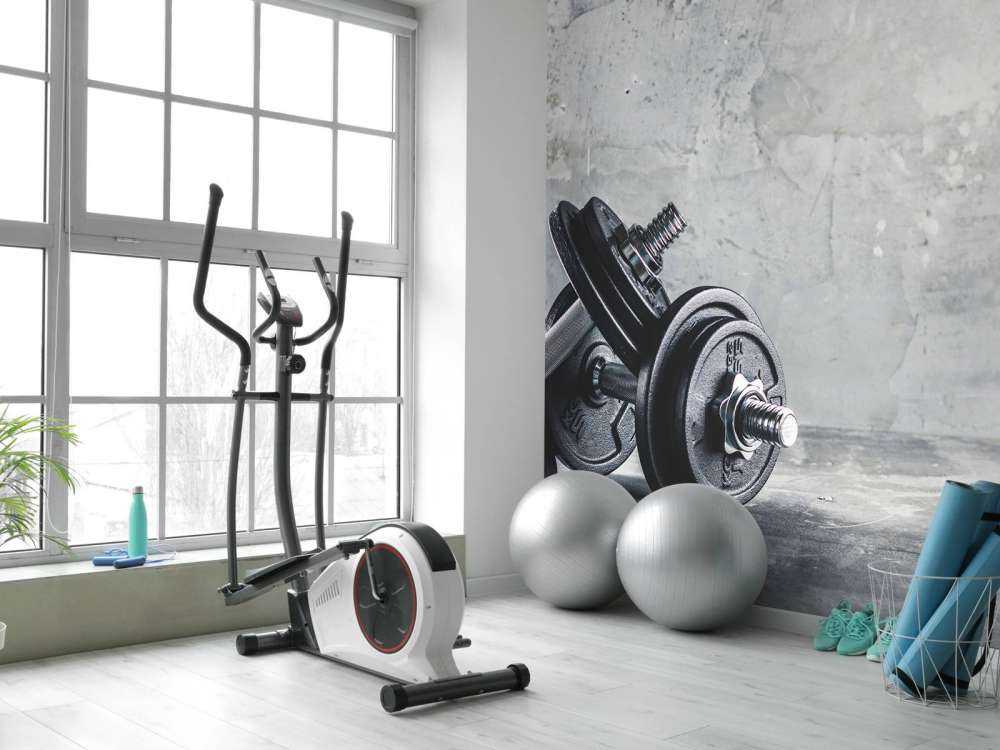 Two dumbells