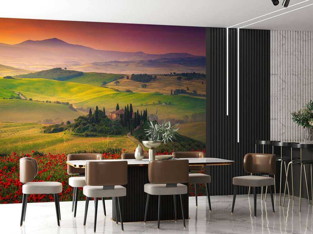 Red poppies with Italian landscape