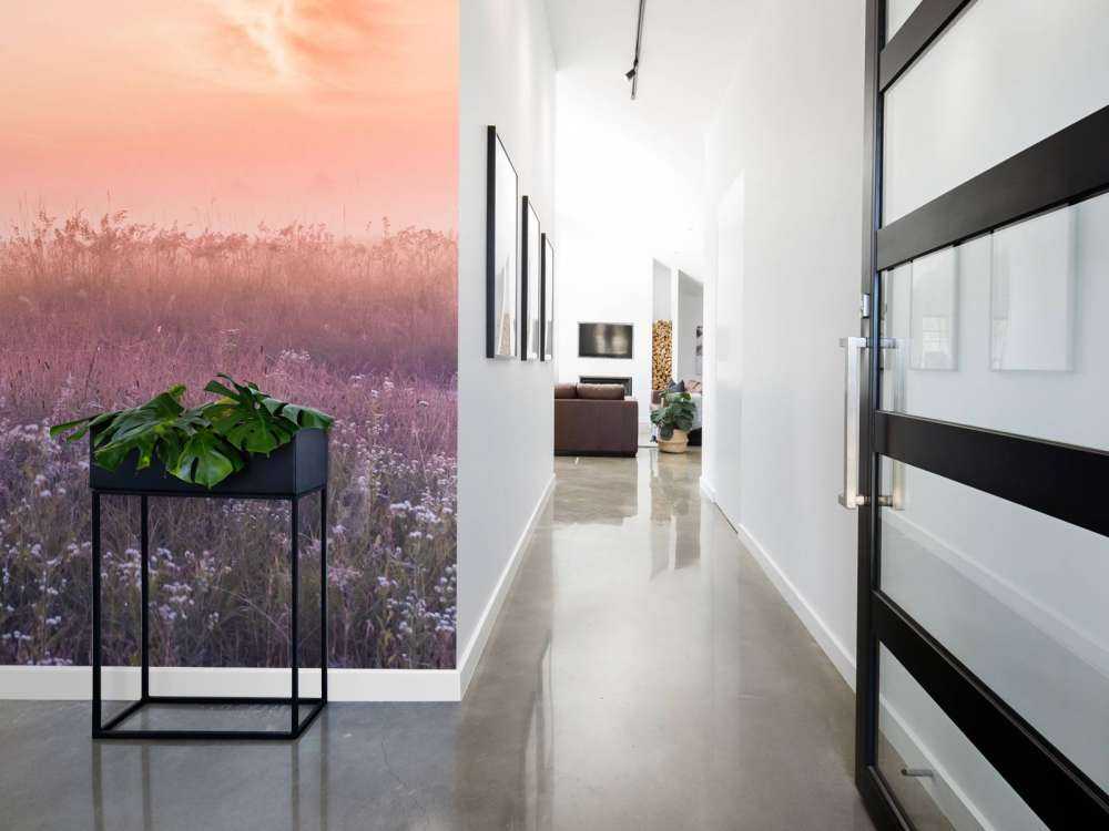 Field with morning mist