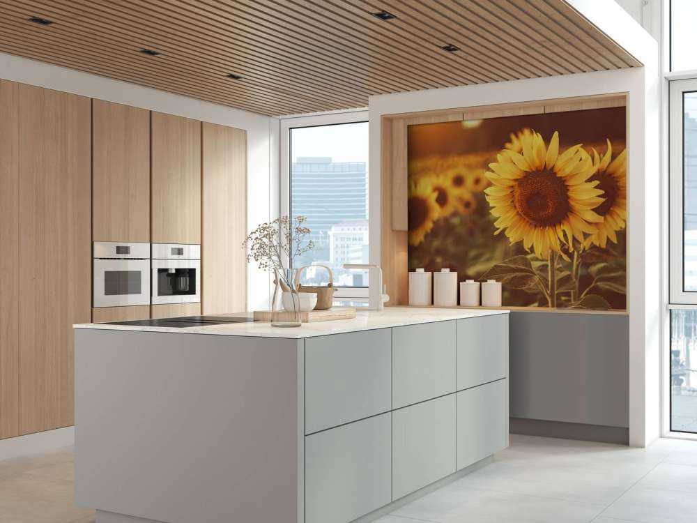 Sunflowers in sunlight