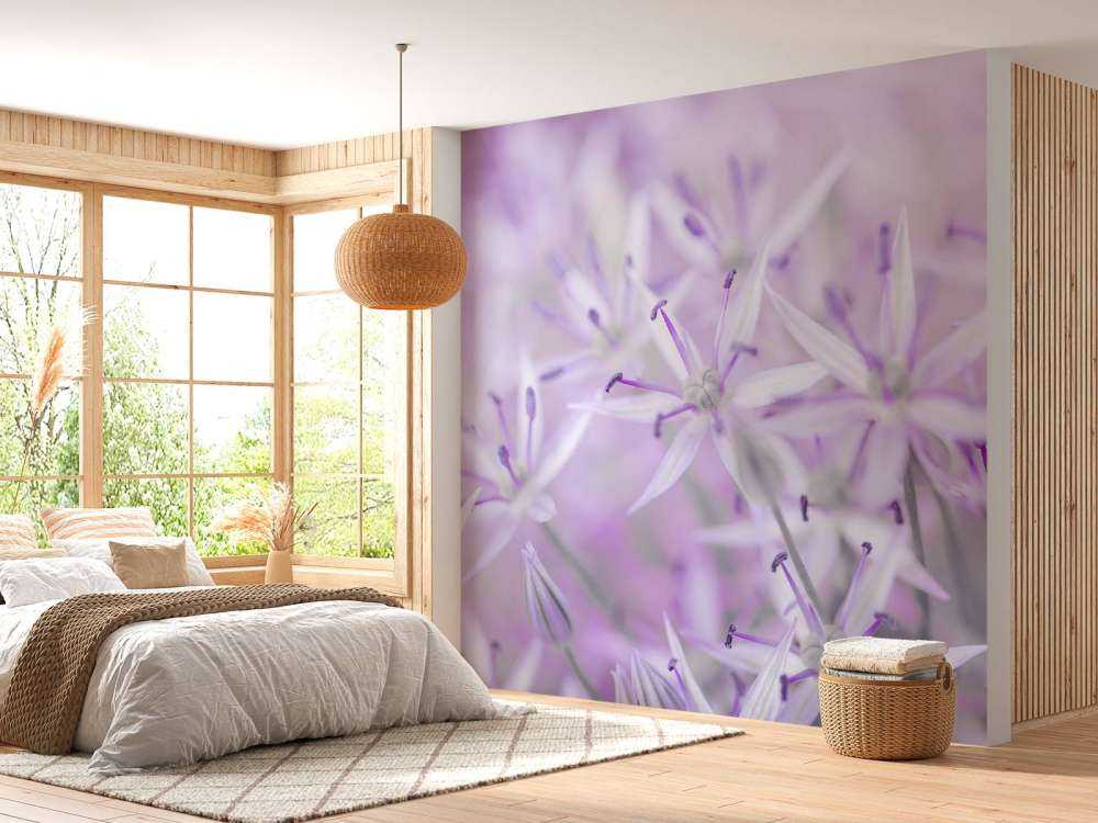 Close-up allium flowers