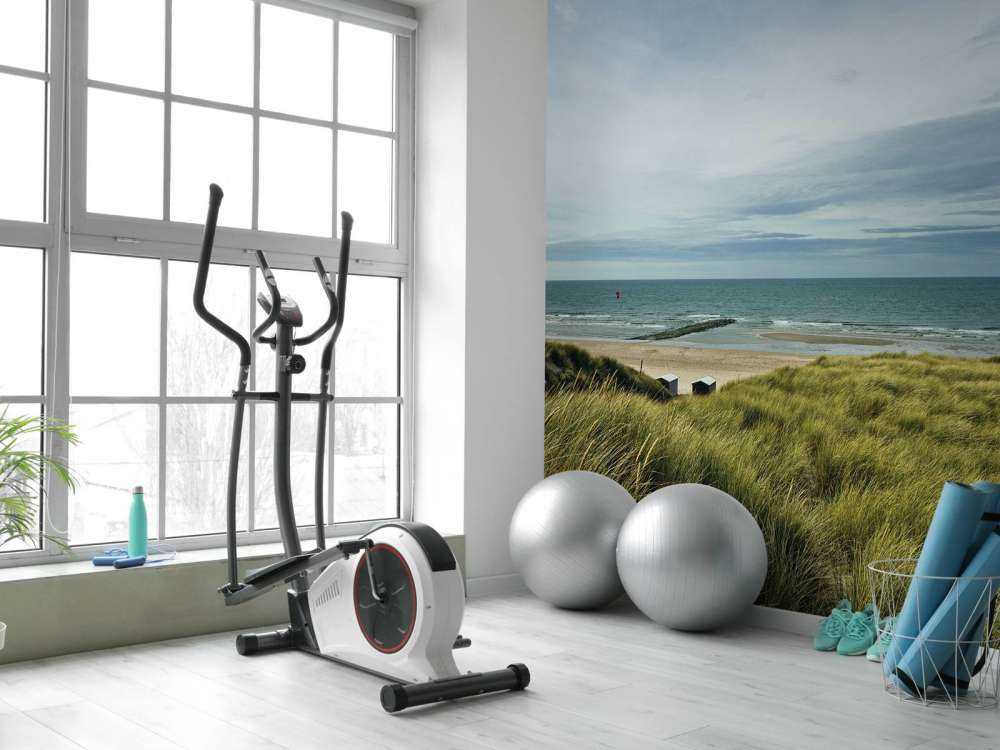 Beach from the dunes